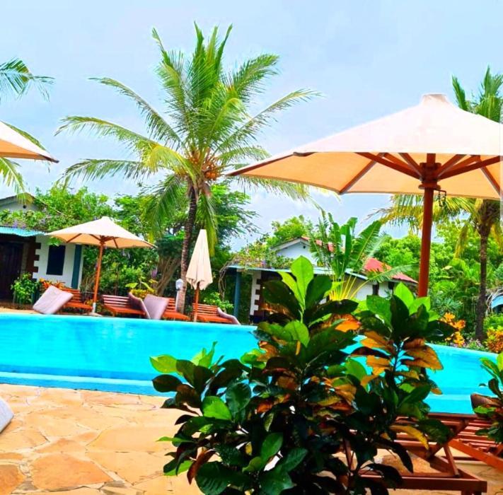 African Dream Cottages - Diani Beach Ngoại thất bức ảnh